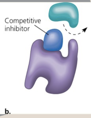 <p>1.) Competitive inhibitor<br>2.) Substrate<br>3.) Enzyme</p>