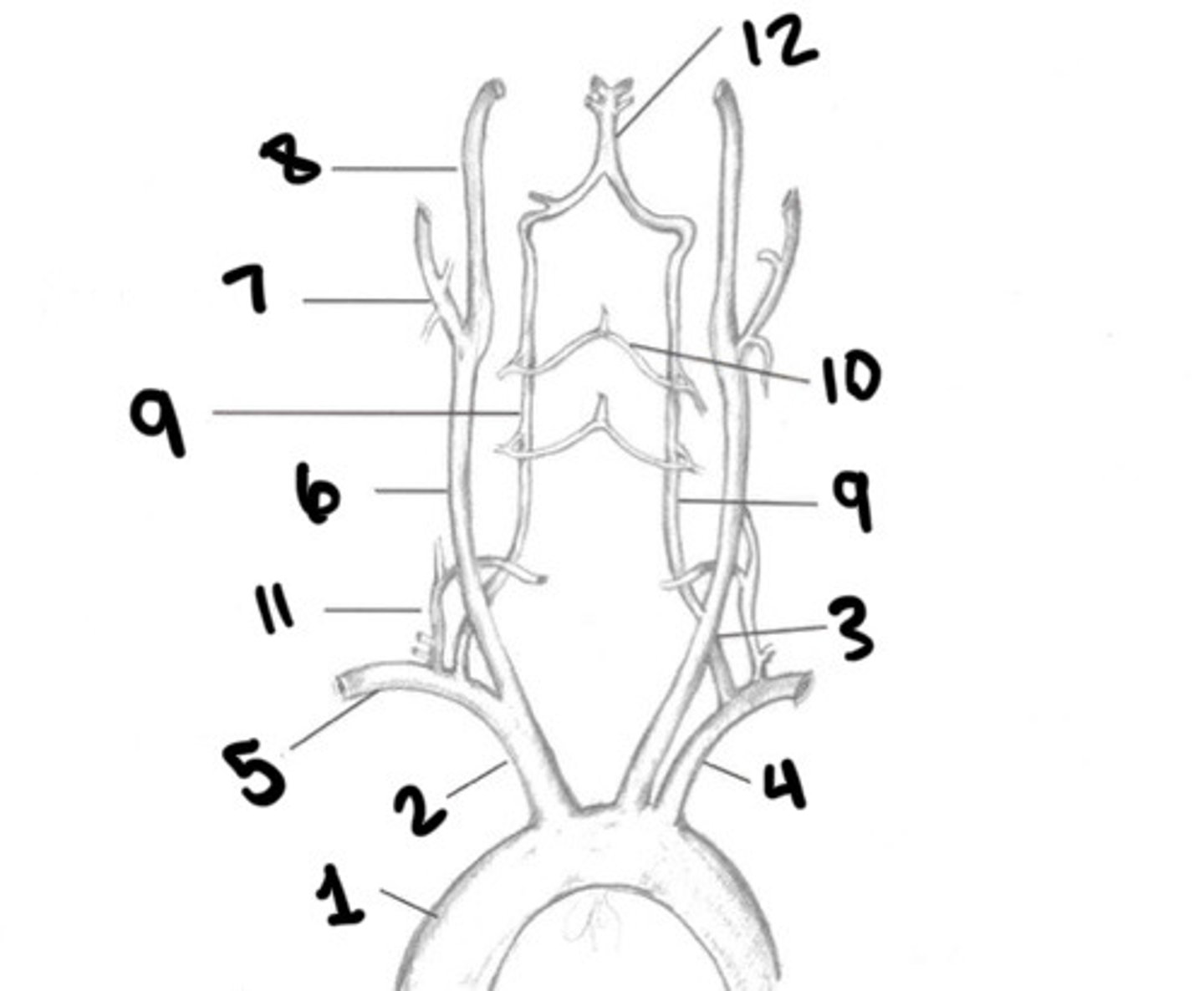 <p>What is 8</p>