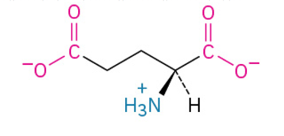 <p>is a negatively charged amino acid that serves two primary purposes: It is the main excitatory neurotransmitter in your brain, essential for neutral communication, and it is the source of the savory umami taste in food (and its salt form, Monosodium Glutamate or MSG, is used as a flavor enhancer.)</p><p>have carboxyl groups in their side chains, which lose protons and become negatively charged. They are often involved in active sites of enzymes.</p><p><u><mark data-color="#fff5d6" style="background-color: rgb(255, 245, 214); color: inherit;">Charged</mark></u></p>