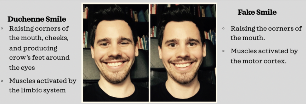 * Duchenne Smile - raising corners of the mouth, cheeks, and producing crows feet around the eyes (the muscles are activated by the limbic system) 
* Fake Smile - Raising the corners of the mouth, muscles activated by the motor cortex 

\
\
