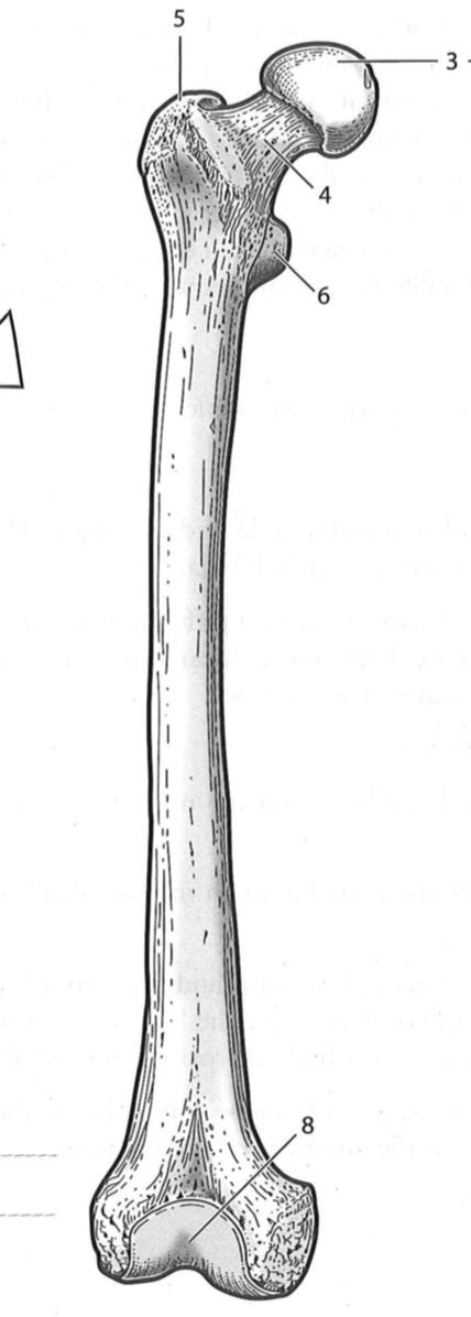 <p>6</p>