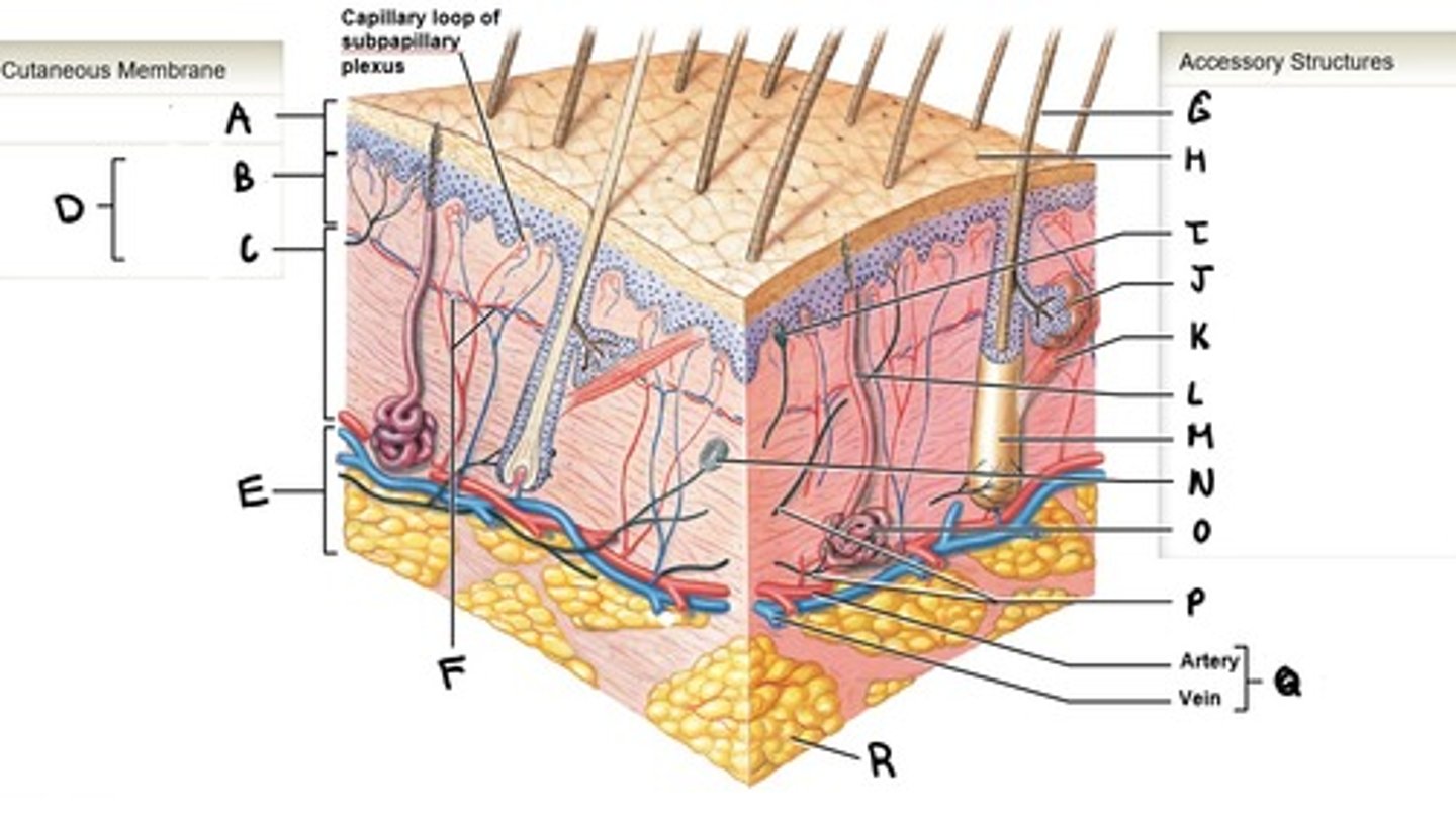 <p>What is A</p>