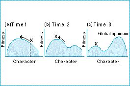 <p>the changing adaptive landscape leads to different configurations of fitness across a landscape. Some organisms are unable to evolve further lest they fall into a valley of reduced fitness and this is impossible. </p>