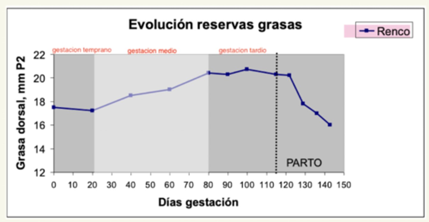 <p>↓ , porque está en la fase de catabolismo</p>