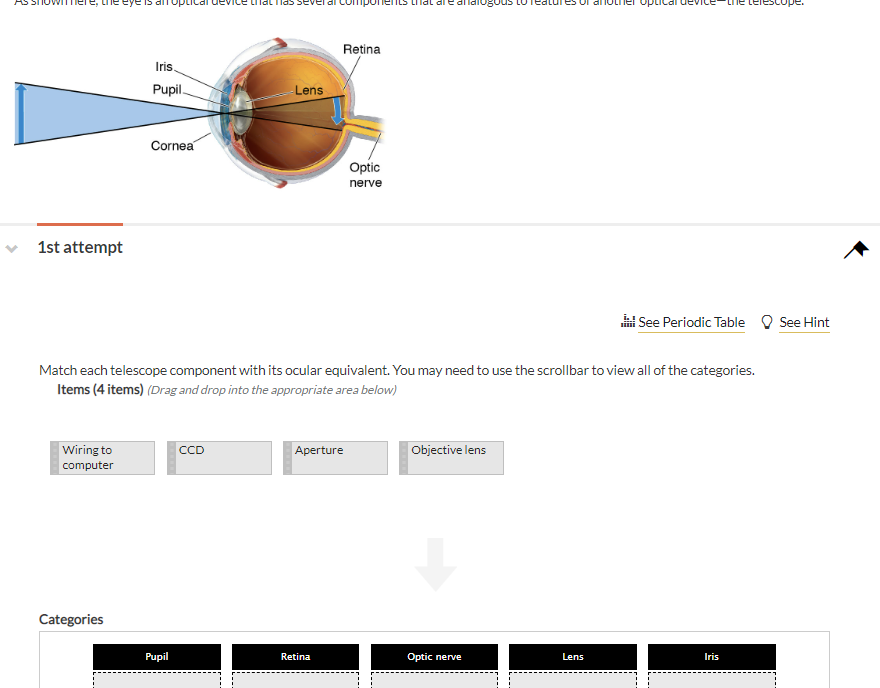 (4) Match each telescope component with its ocular equivalent. You may need to use the scrollbar to view all of the categories.