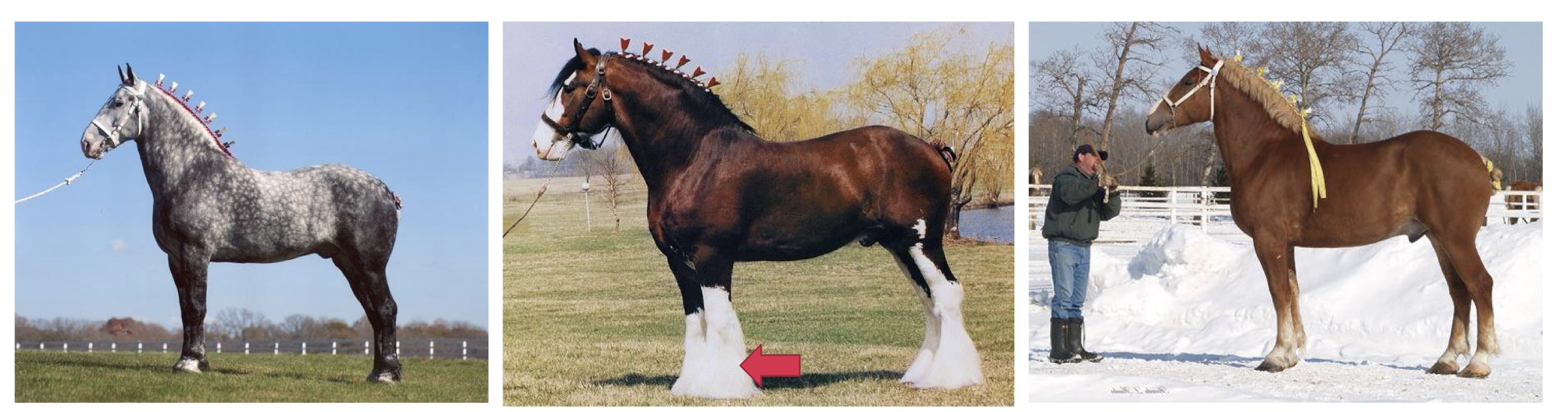 <p>what are these?</p>