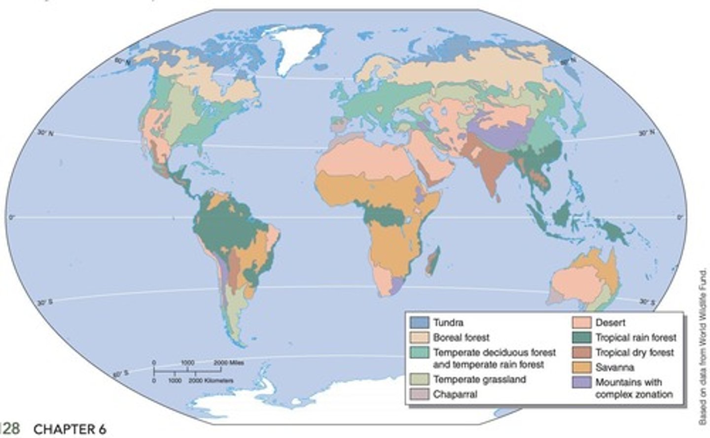 <p>A large, relatively distinct terrestrial region with characteristic climate, soil, plants, and animals.</p>