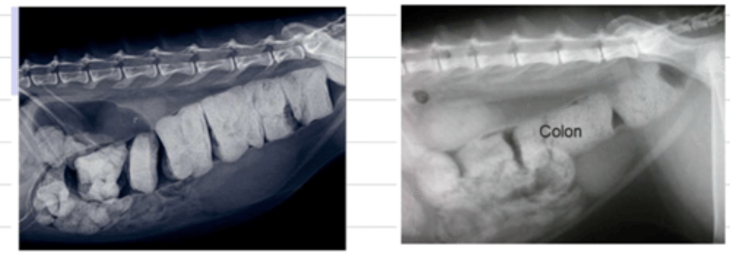 <p>what do we see here?</p>