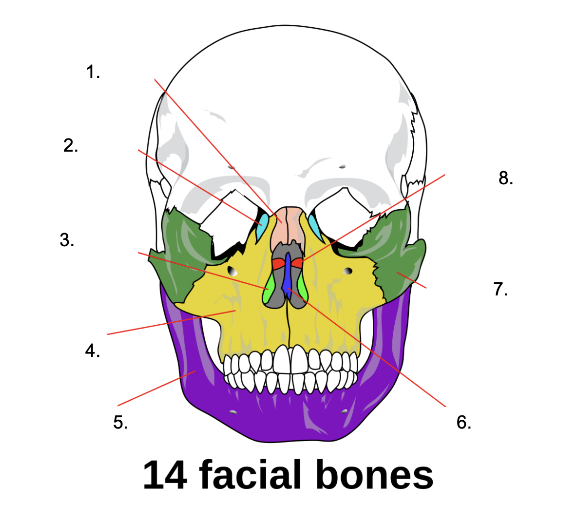 <p>What is 3?</p>