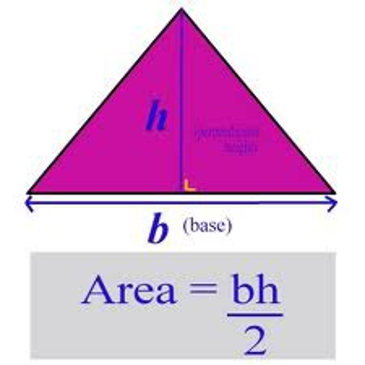 <p>1/2bh</p>
