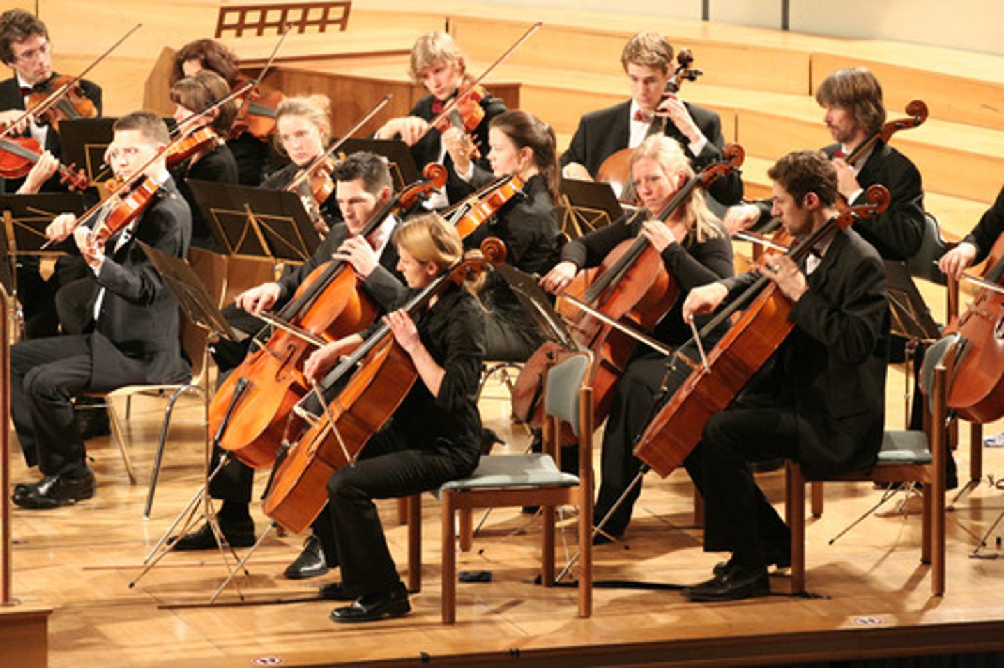 <p>orchestra</p>