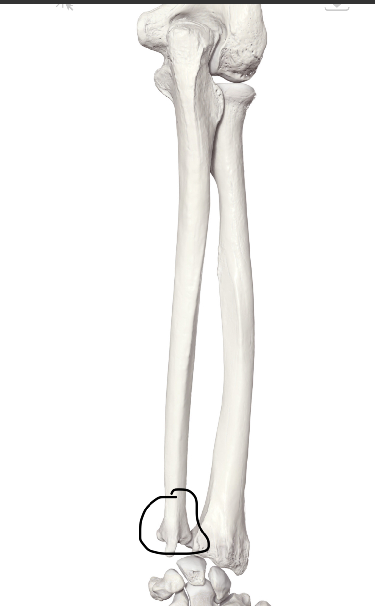 <p>Hoe heet dit deel?</p>