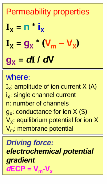 <p>SEE IN THE PICTURE ATTACHED</p><p>Note: Driving force = Vm - Vx</p>