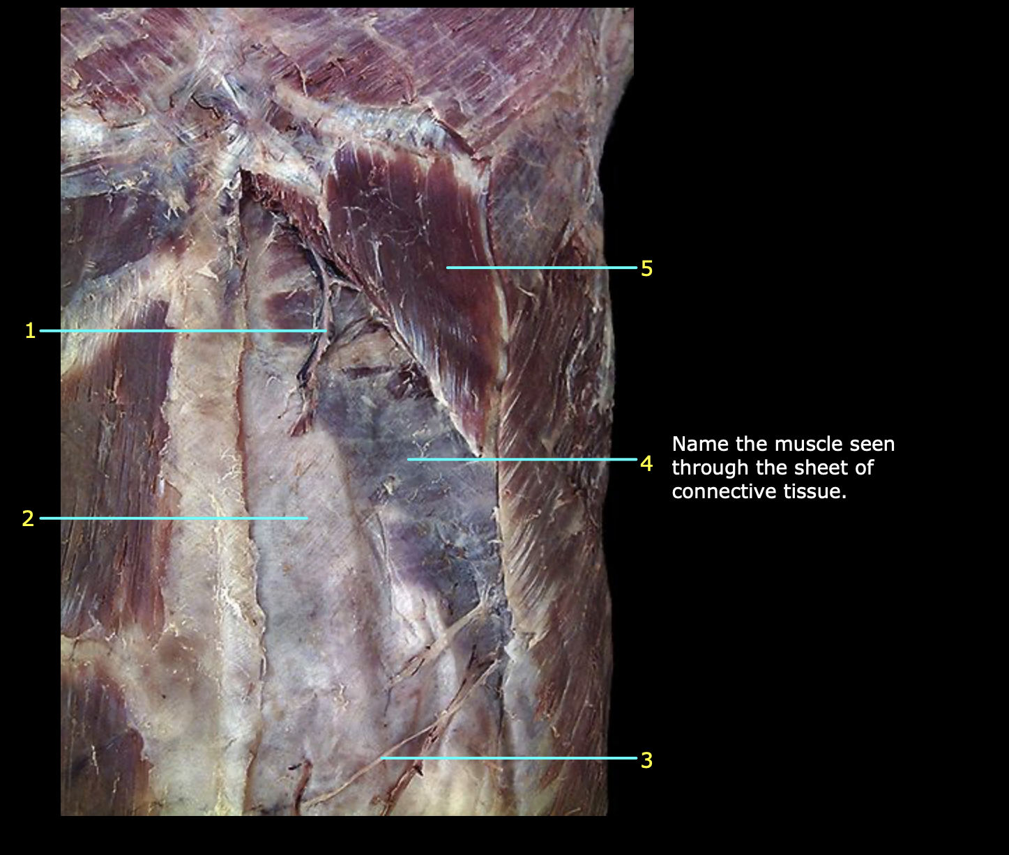 <p>1</p>
