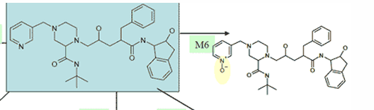 <p>N-oxidation of aromatic nitrogen</p>