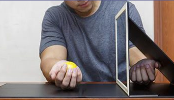 <p>Rehab after Nerve Repair includes Motor &amp; Sensory training: Biofeedback, Neural Reeducation (sensory motor imagery); also Sensory Motor Imagery:</p>