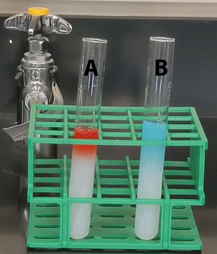 <p></p><p>Which of the following is the most likely reason the dye in tube B diffused faster and farther than the dye in tube A?</p><p></p><p>A. The molecular weight of the dye in tube B is smaller than the molecular weight of the dye in tube A.</p><p>B. The dye in tube B has a higher temperature than the dye in tube A.</p><p>C. The dye in tube B has a lower temperature than the dye in tube A.</p><p>D. The molecular weight of the dye in tube B is larger than the molecular weight of the dye in tube A.</p><p></p>