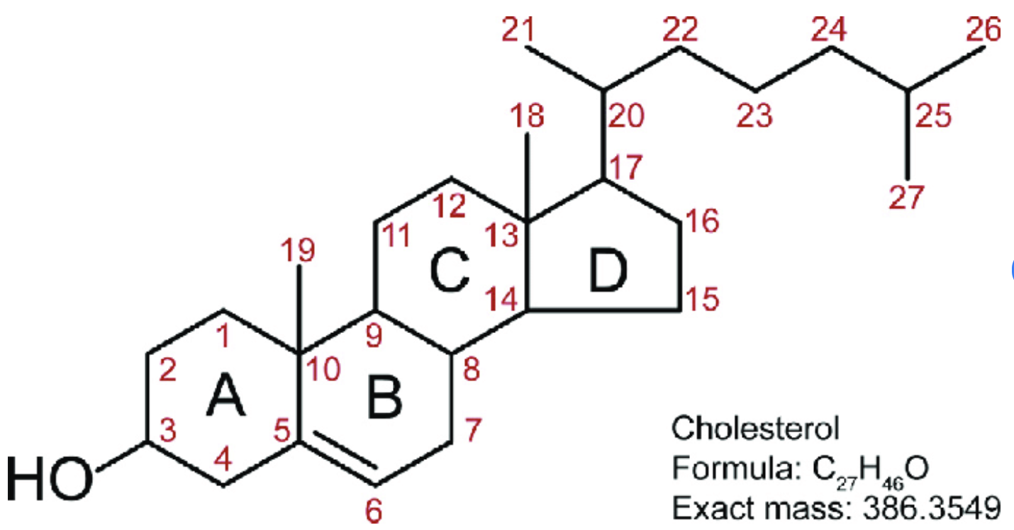 <p>carbon numbering always starts on the top of ring A</p>