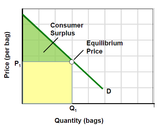 <p>Consumer Surplus</p>