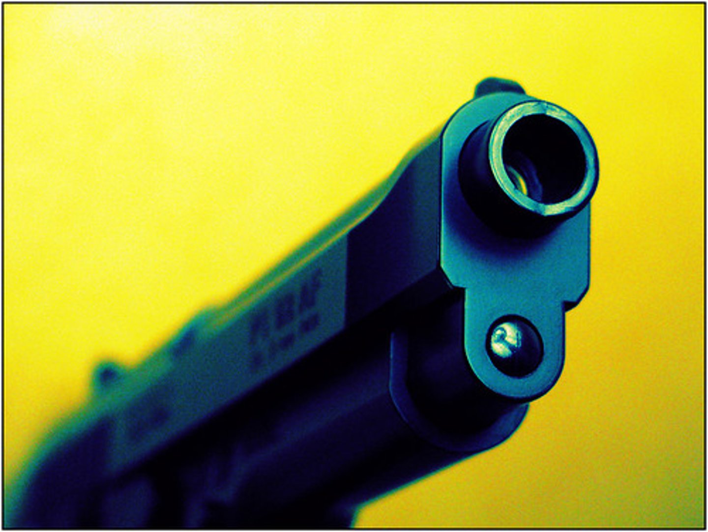 <p>right to bear arms</p>