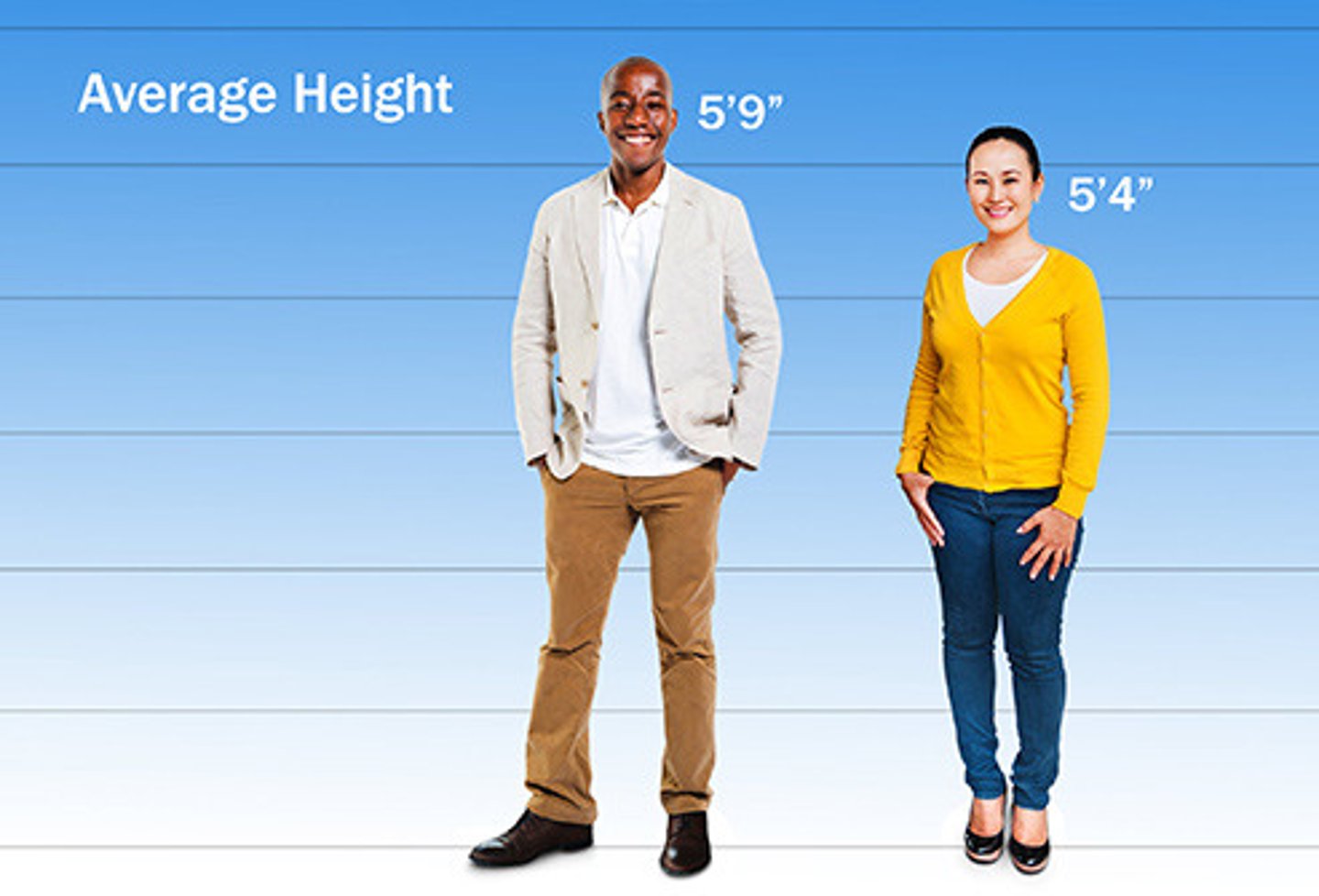 <p>we are of average height</p>