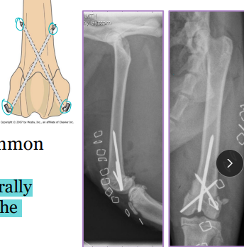 <p><span style="background-color: transparent;"><strong>Cross Pins</strong></span></p>