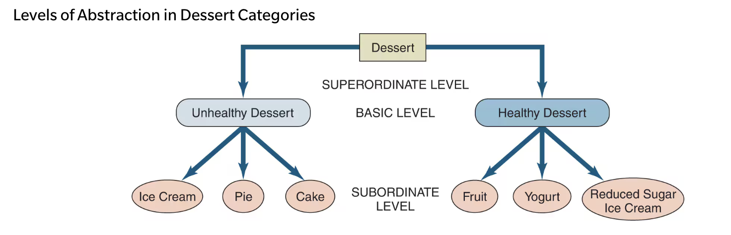 <ul><li><p>The superordinate category - more abstract</p></li><li><p>Basic-level - the most useful in classifying products as grouped items here have lots in common yet still have alternatives</p></li><li><p>Subordinate category - often consists of individual brands</p></li></ul><p></p>