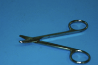 <p>what instrument is this </p>