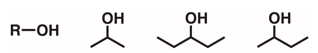<p>A hydroxyl attached to a carbon w/ 1  hydrogen and 2 other carbons</p>