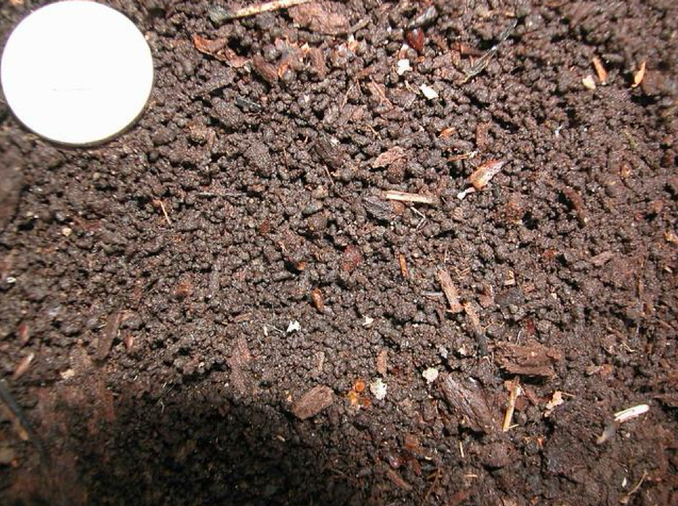 <ul><li><p>Soil structure characterized by 1-10 mm grains usually found in the A horizon</p></li><li><p>Can also be found in B and C horizons</p></li></ul>
