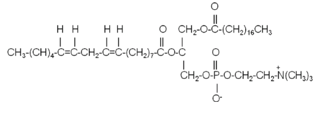 The lipid structure below is best classified as:

a. 1-steroyl, 2-linolenoyl phosphatidyl ethanolamine 

b. 1-oleoyl, 2-linoleoyl phosphatidyl inositol 

c. 1-palmitoyl, 2-linolenoyl phosphatidyl glycerol

d. 1-palmitoyl, 2-linolenoyl phosphatidyl serine

e. 1-steroyl, 2-linoleoyl phosphatidyl choline