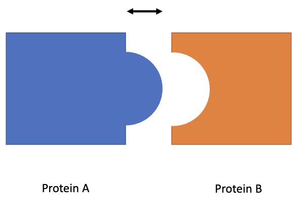 <ul><li><p>Through <strong>receptors</strong> and <strong>ligands</strong></p><ul><li><p>Work like <strong>locks and keys</strong></p></li><li><p>Example: Protein A (ligand) + Protein B (receptor) → <em>click</em> → change in cell behavior</p></li></ul></li><li><p>Leads to changes in <strong>gene expression</strong></p></li></ul><img src="https://knowt-user-attachments.s3.amazonaws.com/c2acb593-5b76-4421-a15a-cd9d616e13d2.png" data-width="100%" data-align="center"><p></p>