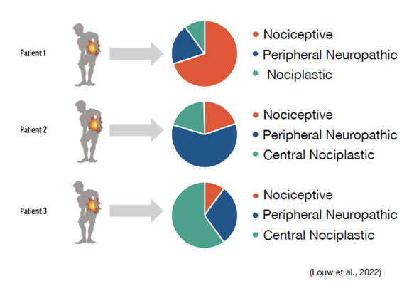 <ul><li><p><span>shows the relative contributions of different pain mechanisms in a patient’s experience</span></p></li><li><p><span>dynamic </span></p><ul><li><p><span>size of each “slice” can change over time based on biological, psychological, and social factors</span></p></li></ul></li><li><p>help understand the dominant pain mechanism </p><ul><li><p>tailor assessment and treatment strategies</p></li></ul></li></ul><p></p>