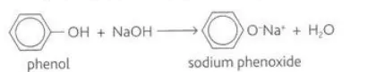 <p>They react due to the alcoholic nature of phenol to form sodium phenoxide and water</p>