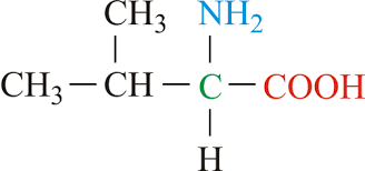 <p>What is the name of this amino acid, and, what are the single and three letter codes?</p>