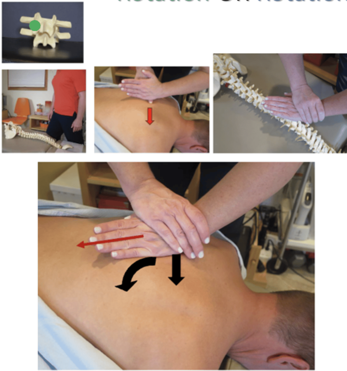 <p>• PP: Prone, asks permission to open gown/contact patient, verbalize finding the segment</p><p>• DP: Square or fencer stance facing caudal, side of contact, at cephalad end of the table, tissueslack L-M</p><p>• CH: Hypothenar of cephalad hand on lateral surface of superior Spinous Process (SP) on the side of rotation. Then, torque hand 45 degrees so that little finger CROSSES the Spine.</p><p>• Left hand counterclockwise torque, righthand clockwise torque</p><p>• IH: Hypothenar in anatomical snuff box, stabilize contact.</p><p>• Vector: P-A and L-M with torque (or S-I)</p>