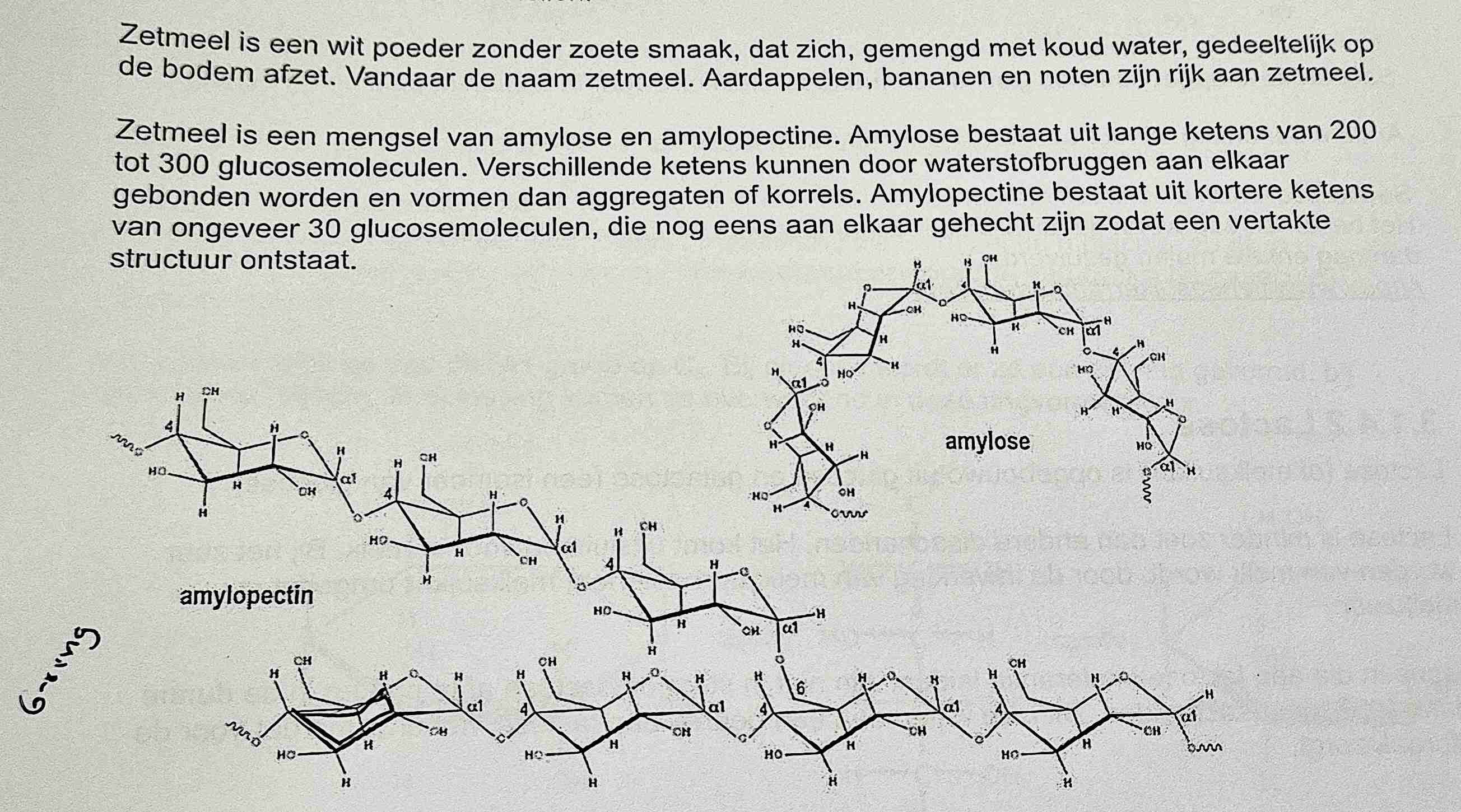 <p>Zetmeel is een mengsel van amylose en amylopectine </p>
