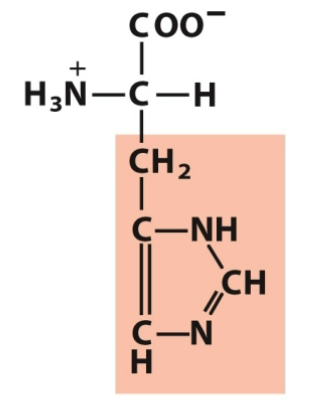<p>Polar, positive</p>
