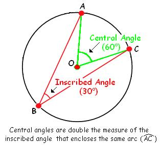 <p>twice the measure of inscribed angles</p>