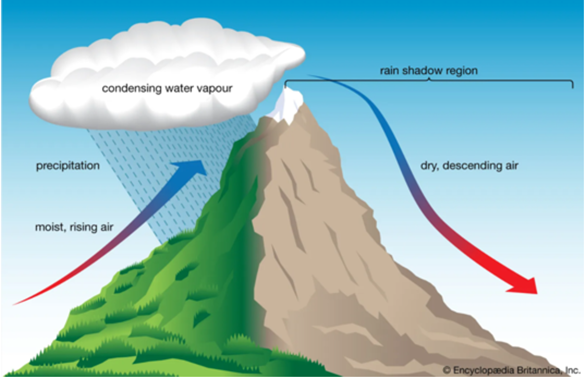 <p>Most moisture has been condensed and precipitated out on windward slope. Rain shadow effect. Himalayan mountains rain shadow the Gobi Desert in China</p>