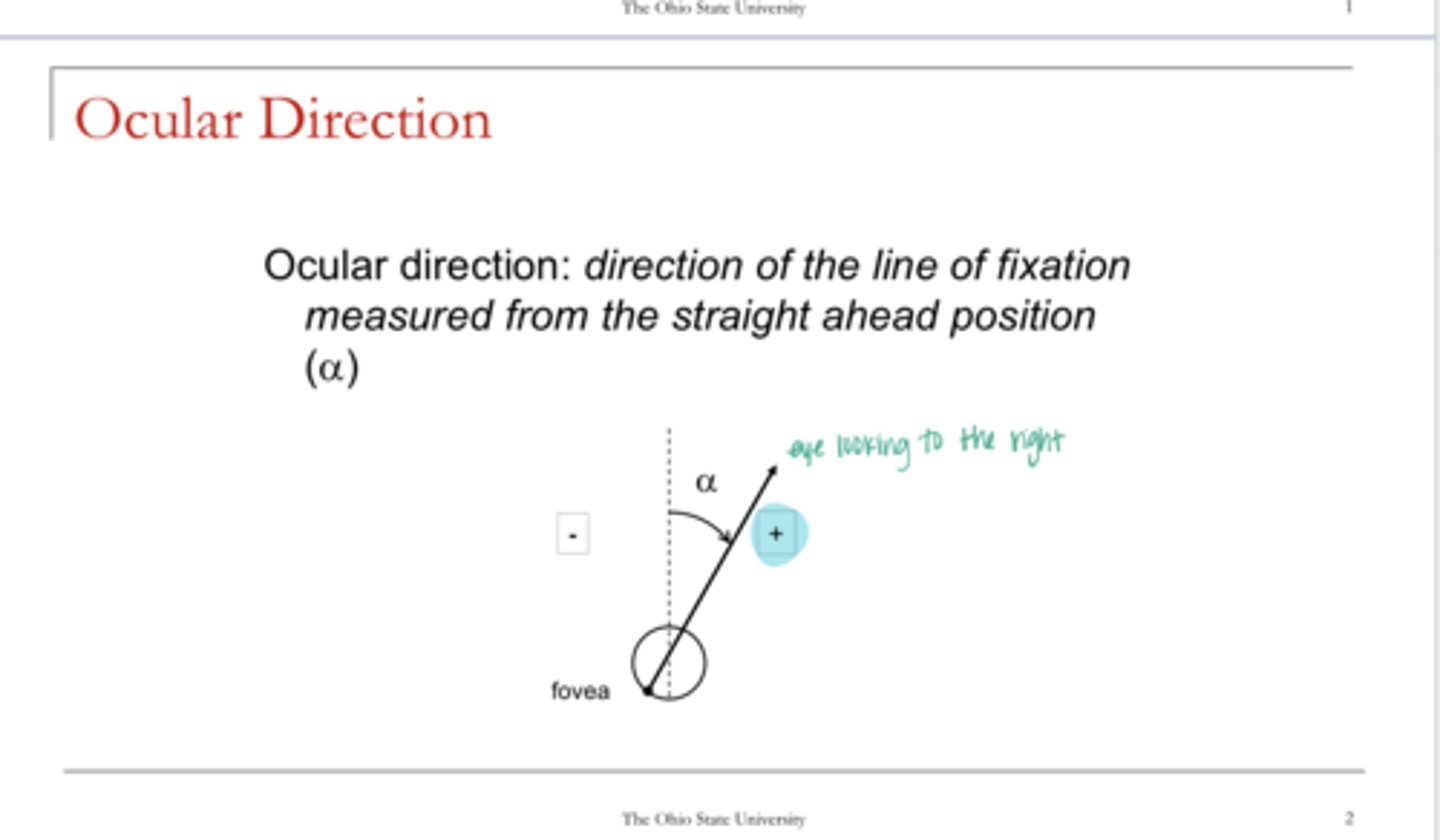 <p>What is the ocular direction?</p>