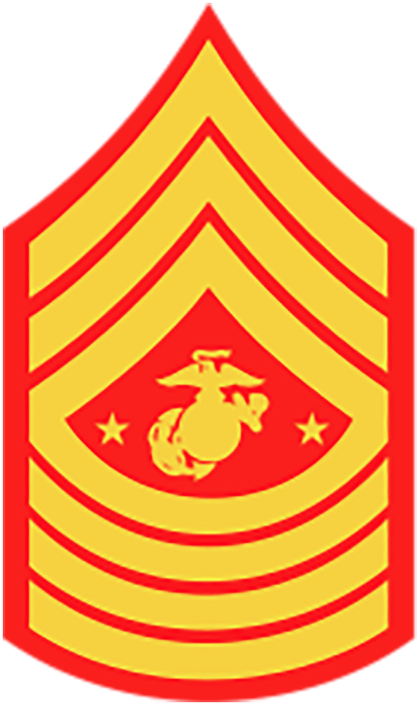 <p>M E-9 denoted with the Marine Corps symbol</p>