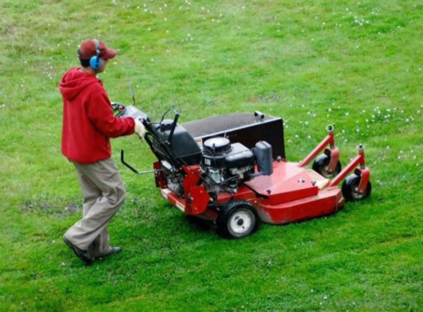 <p>(informal) grass needs cutting very much</p>