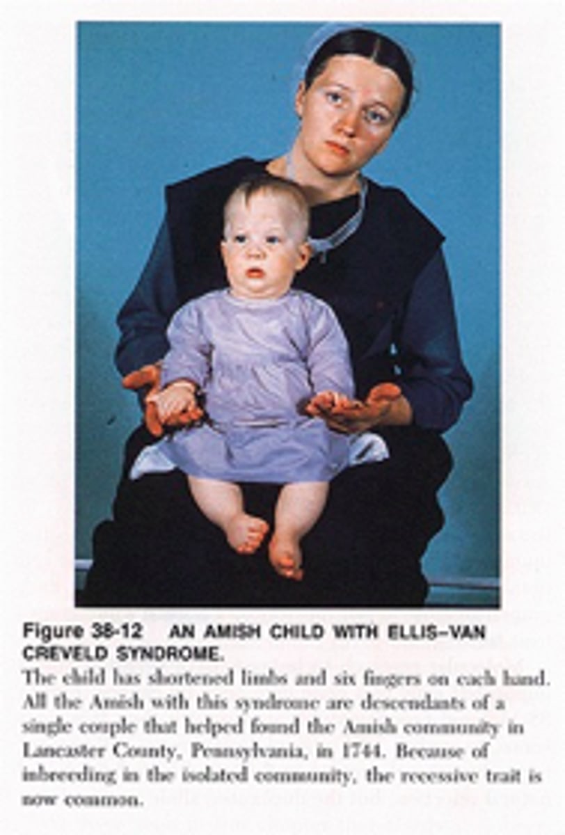 <p>Ellis-van Creveld syndrome has what pattern of inheritance?</p>