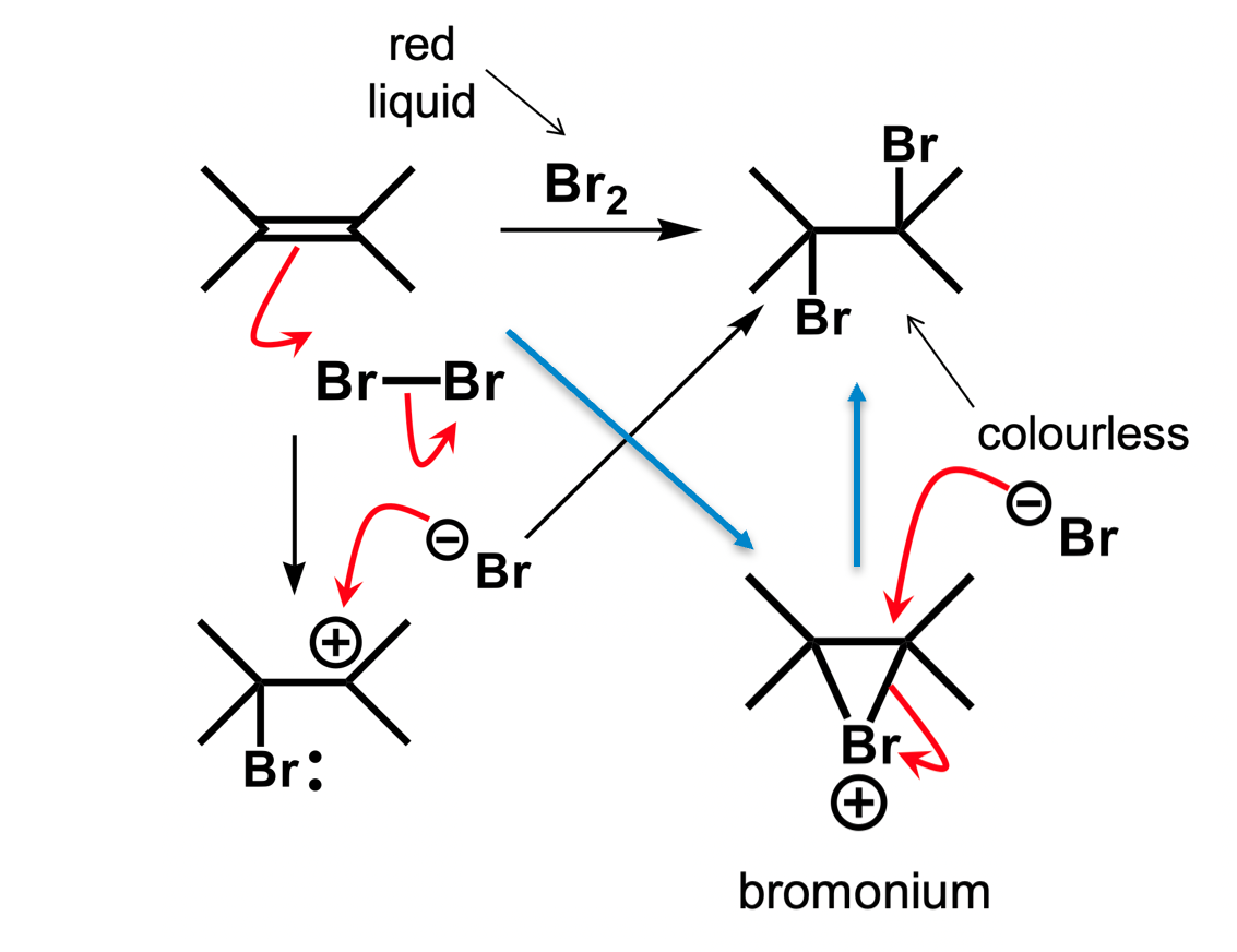 <p>The mechanism follows the blue arrows. Since the bromonium ion must form in a cis- style conformation and the Br<sup>-</sup> attacks form the back of the bond, this reaction is stereospecific and will only form the trans- product. </p>