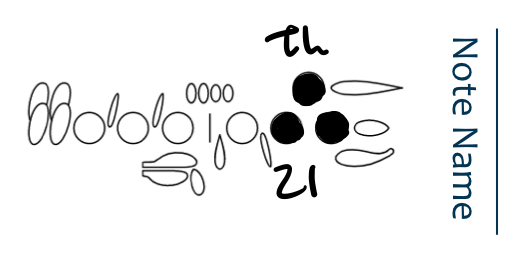 <p>D</p>