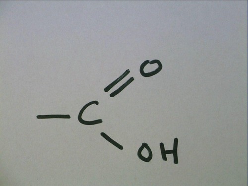 <p>organic acid (carbonyl + hydroxyl)</p>