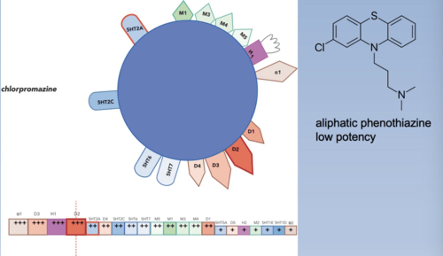 <p>-Low potency</p><p>-Dirty drug: binds a lot of receptors</p><p>-Boxes on the bottom: furthest to the left has highest affinity, bigger box has higher affinity</p>