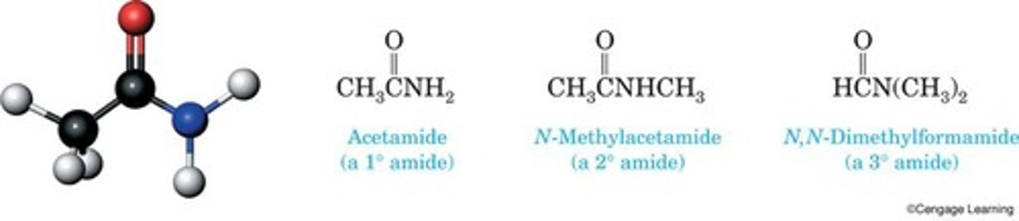 <p>Derivative of carboxylic acid with —OH replaced.</p>