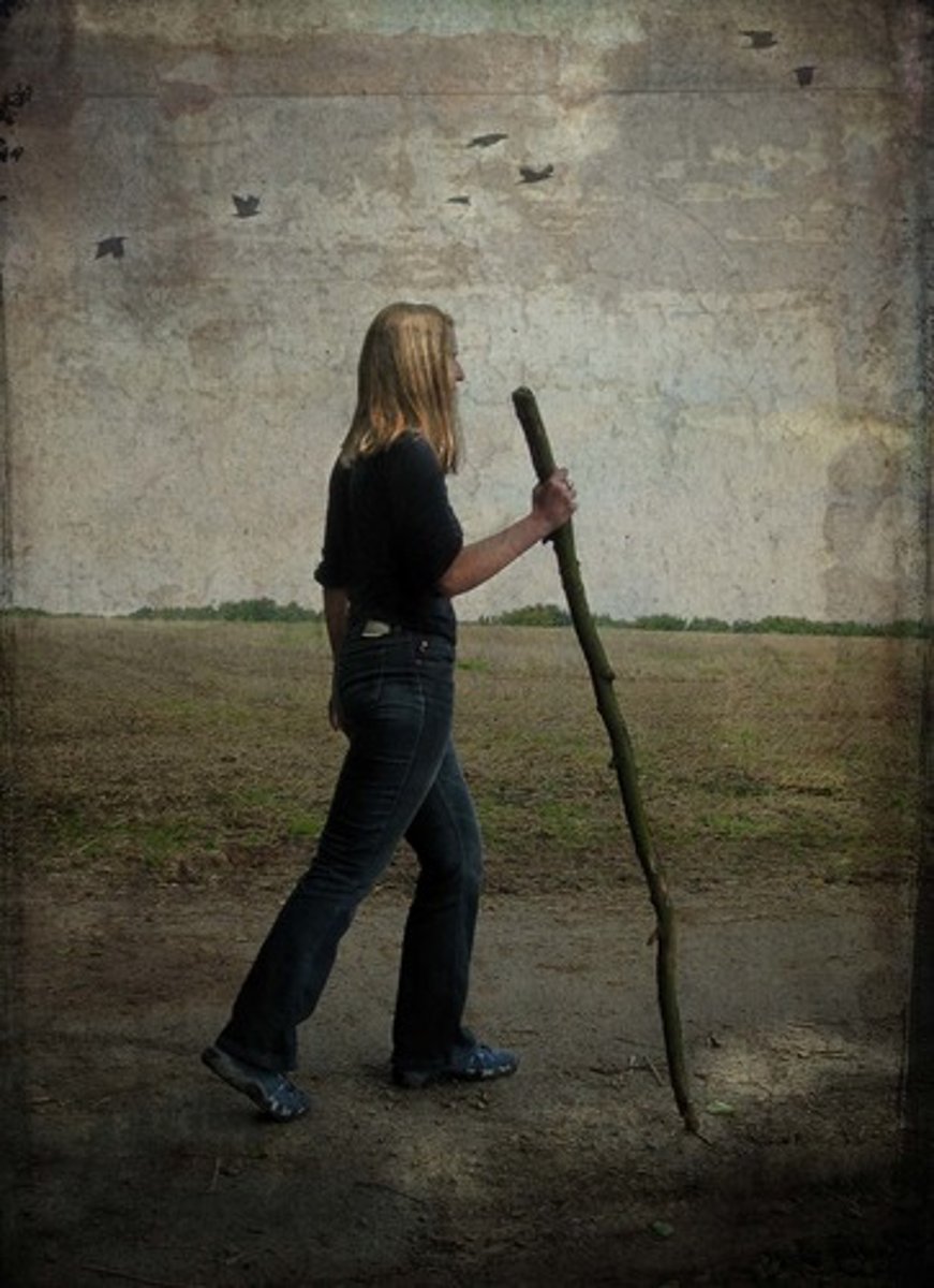 <p>to wander</p>